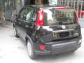 Fiat Panda 1.0 hybrid 70 CV My 23 Nero - thumbnail 2
