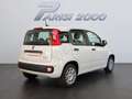 Fiat Panda 1.0 FireFly S&S Hybrid *PROMO PARISI GROUP* Bianco - thumbnail 3