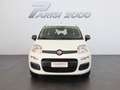 Fiat Panda 1.0 FireFly S&S Hybrid *PROMO PARISI GROUP* Bianco - thumbnail 5