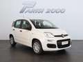 Fiat Panda 1.0 FireFly S&S Hybrid *PROMO PARISI GROUP* Bianco - thumbnail 2