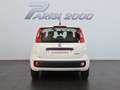 Fiat Panda 1.0 FireFly S&S Hybrid *PROMO PARISI GROUP* Bianco - thumbnail 7