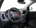 Fiat Panda 1.0 FireFly S&S Hybrid *PROMO PARISI GROUP* Bianco - thumbnail 9