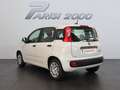 Fiat Panda 1.0 FireFly S&S Hybrid *PROMO PARISI GROUP* Bianco - thumbnail 4