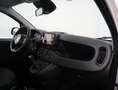 Fiat Panda 1.0 FireFly S&S Hybrid *PROMO PARISI GROUP* Bianco - thumbnail 12
