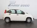 Fiat Panda 1.0 FireFly S&S Hybrid *PROMO PARISI GROUP* Bianco - thumbnail 6