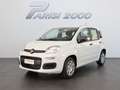 Fiat Panda 1.0 FireFly S&S Hybrid *PROMO PARISI GROUP* Bianco - thumbnail 1
