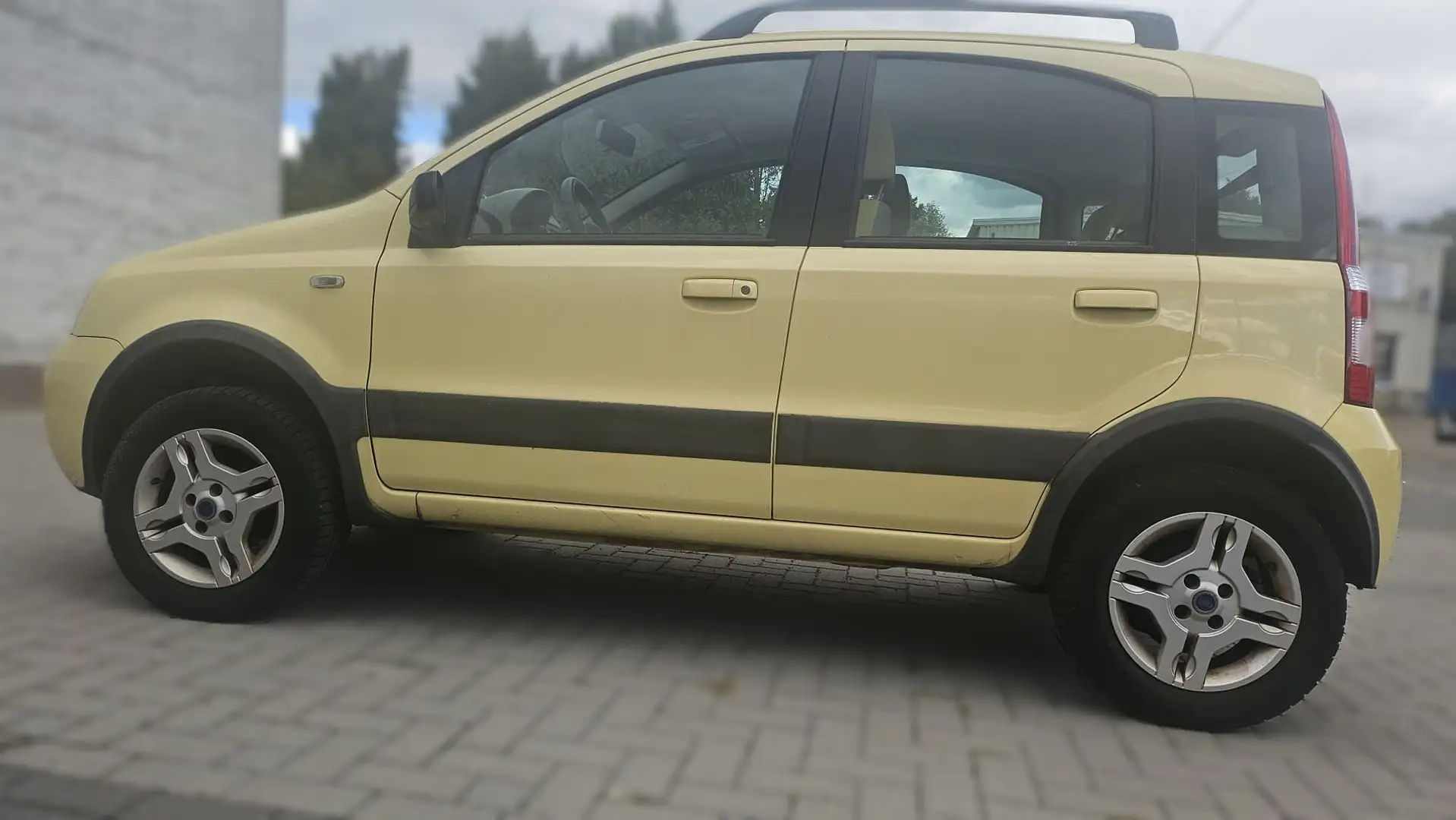 Fiat Panda Panda 1.2 4x4 Climbing Gelb - 2