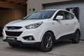 Hyundai iX35 iX35 1,7 CRDi Limited Edition Limited Edition Weiß - thumbnail 1