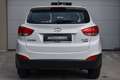 Hyundai iX35 iX35 1,7 CRDi Limited Edition Limited Edition Weiß - thumbnail 7