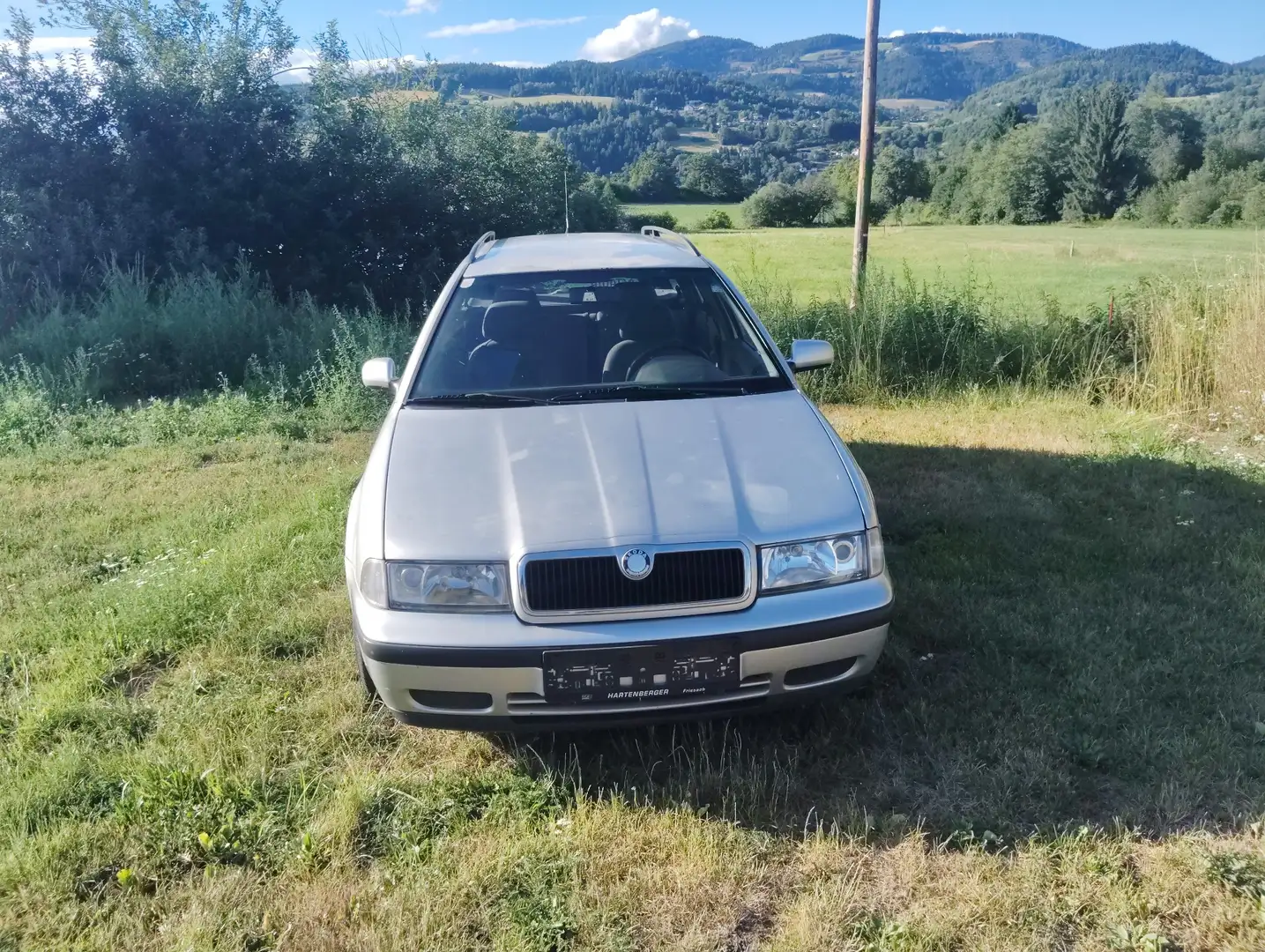 Skoda Octavia 1.9 TDi Combi SLX 4x4 - 2