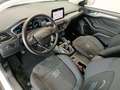 Ford Focus 1.0 Ecoboost MHEV Active 155 Blanco - thumbnail 8