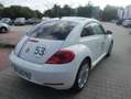 Volkswagen New Beetle 16ABCAYCX0FM5FM5A4051N7MQN1VR0 Beyaz - thumbnail 6