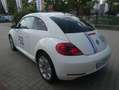 Volkswagen New Beetle 16ABCAYCX0FM5FM5A4051N7MQN1VR0 White - thumbnail 5