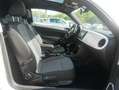 Volkswagen New Beetle 16ABCAYCX0FM5FM5A4051N7MQN1VR0 Білий - thumbnail 11