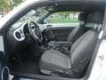 Volkswagen New Beetle 16ABCAYCX0FM5FM5A4051N7MQN1VR0 Fehér - thumbnail 7