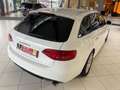 Audi A4 2.0 TFSI Quattro Avant S-line +Xenon Weiß - thumbnail 5