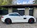 Mercedes-Benz AMG GT GT AMG S Edition 1 Bianco - thumbnail 6