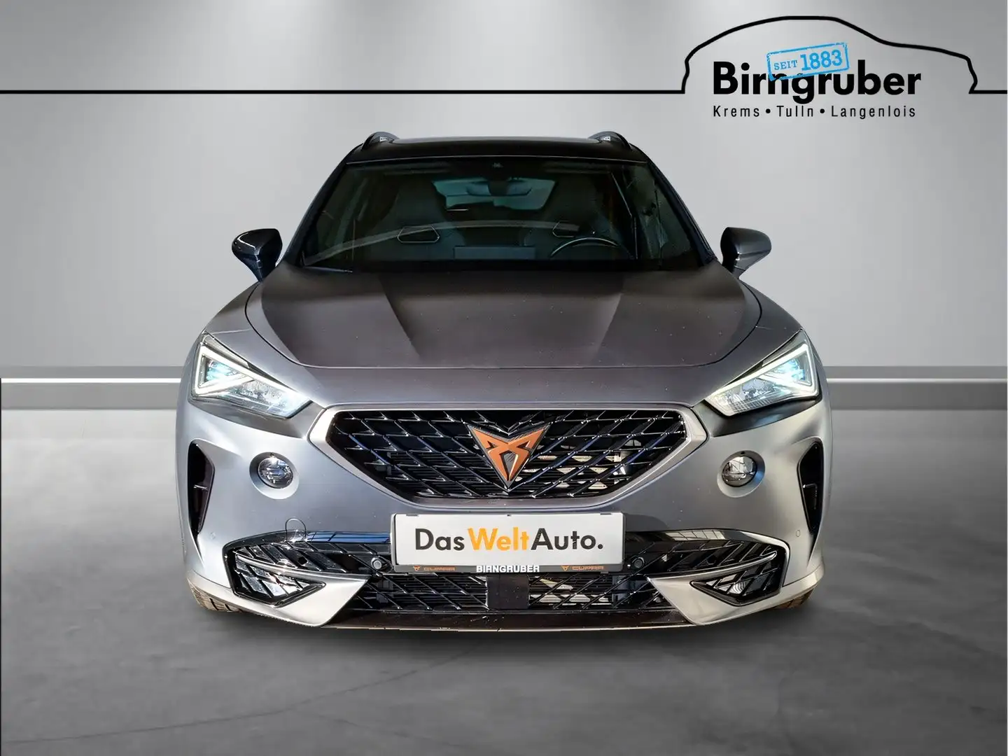 CUPRA Formentor VZ e-HYBRID 245 PS DSG Grau - 2