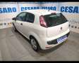 Fiat Punto Evo 1.3 MJT 75CV 3p. Van Dynamic Blanco - thumbnail 4