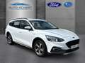 Ford Focus Turnier Active 1.5 EcoBoost EU6d-T Klima Navi ZV Blanc - thumbnail 4