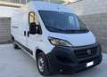 Fiat Ducato - thumbnail 3