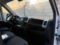 Fiat Ducato - thumbnail 9