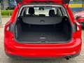 Ford Focus 1.0 EcoB*NAVI*KLIMA*PDC*Spurh+Verkehr*TÜV Neu Rot - thumbnail 5