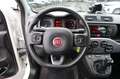 Fiat Panda Panda 1.0 Mild Hybrid Klima/eFH./NSW Blanc - thumbnail 11