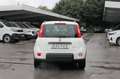Fiat Panda Panda 1.0 Mild Hybrid Klima/eFH./NSW Blanc - thumbnail 6