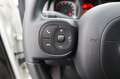 Fiat Panda Panda 1.0 Mild Hybrid Klima/eFH./NSW Blanc - thumbnail 12