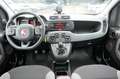 Fiat Panda Panda 1.0 Mild Hybrid Klima/eFH./NSW Blanc - thumbnail 20