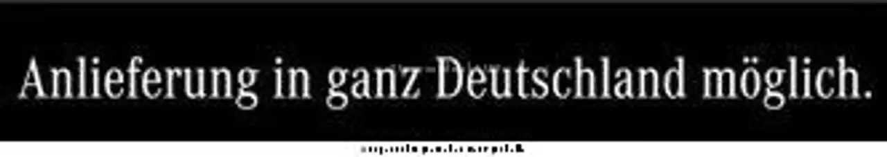 Mercedes-Benz E-Class d 4M T Avantgarde AHK DISTRO TWA 19", миниатюра 10