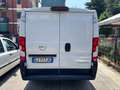 Fiat Ducato 2200 Mtj 120 cv Ch1 imm. 03/2022 iva compresa Bianco - thumbnail 5