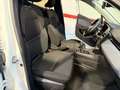 Renault Clio Blue dCi Business 63kW Weiß - thumbnail 23