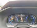Toyota RAV 4 2.5 Hybrid Bi-Tone | Navi | PDC v+a | JBL | El ver Gris - thumbnail 35