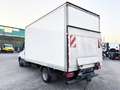 Iveco Daily 35C16 BOX + SMCB Bianco - thumbnail 7