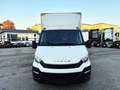 Iveco Daily 35C16 BOX + SMCB Bianco - thumbnail 2