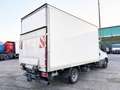 Iveco Daily 35C16 BOX + SMCB Bianco - thumbnail 5