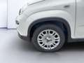 Fiat Panda Pop 1.0*KLIMA*PDC*RADIO*BLUETOOTH* Bianco - thumbnail 5