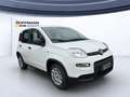 Fiat Panda Pop 1.0*KLIMA*PDC*RADIO*BLUETOOTH* Bianco - thumbnail 2