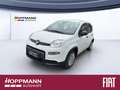 Fiat Panda Pop 1.0*KLIMA*PDC*RADIO*BLUETOOTH* Bianco - thumbnail 1