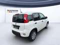 Fiat Panda Pop 1.0*KLIMA*PDC*RADIO*BLUETOOTH* Bianco - thumbnail 3