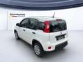 Fiat Panda Pop 1.0*KLIMA*PDC*RADIO*BLUETOOTH* Bianco - thumbnail 4