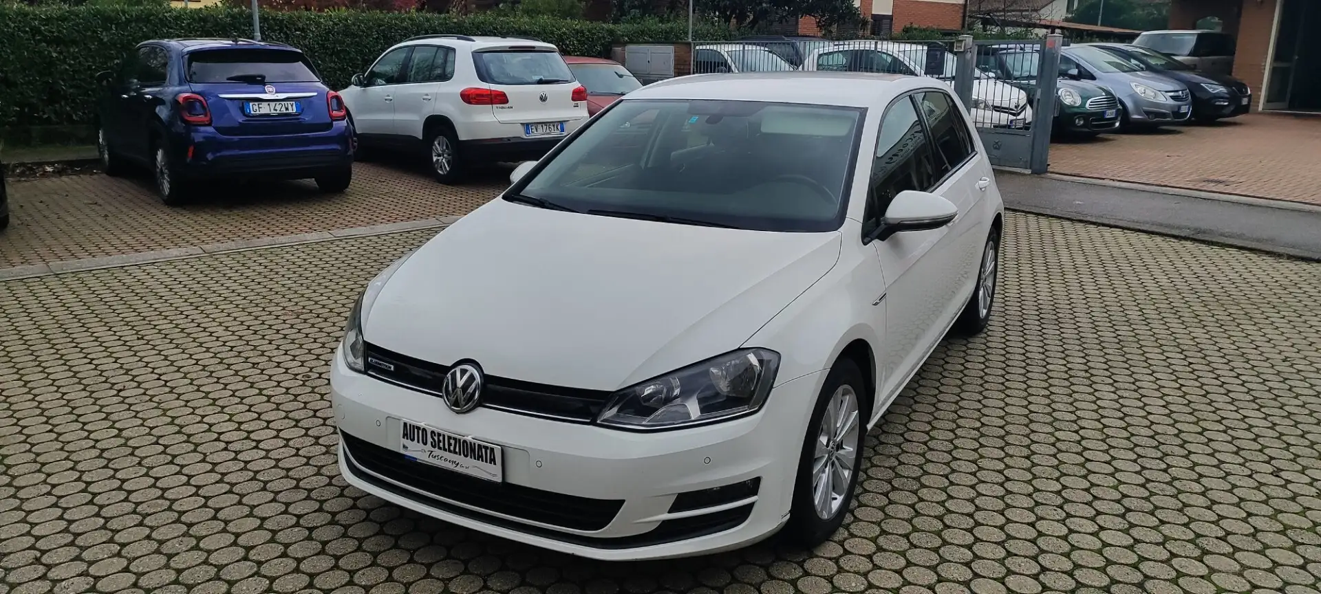 Volkswagen Golf Golf 1.4 TGI 5p. Executive BlueMotion Weiß - 1