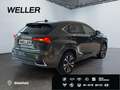 Lexus NX 300h Style Edition *Bi-LED*ACC*Kamera*SHZ*PDC* Vert - thumbnail 19