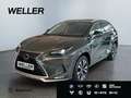 Lexus NX 300h Style Edition *Bi-LED*ACC*Kamera*SHZ*PDC* Vert - thumbnail 1