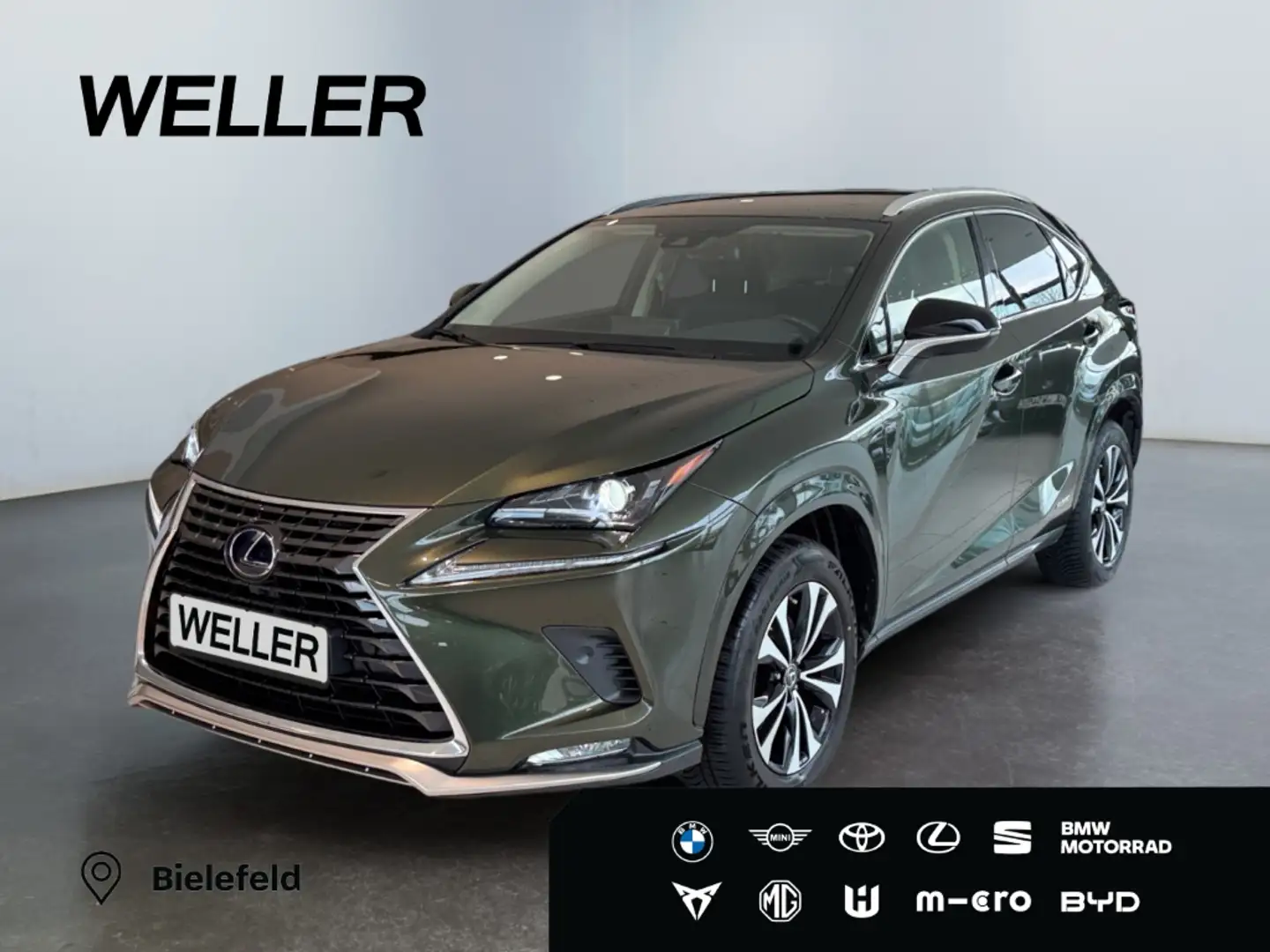 Lexus NX 300h Style Edition *Bi-LED*ACC*Kamera*SHZ*PDC* Vert - 1
