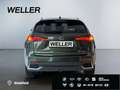 Lexus NX 300h Style Edition *Bi-LED*ACC*Kamera*SHZ*PDC* Vert - thumbnail 6