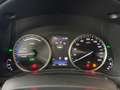 Lexus NX 300h Style Edition *Bi-LED*ACC*Kamera*SHZ*PDC* Vert - thumbnail 15