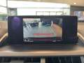 Lexus NX 300h Style Edition *Bi-LED*ACC*Kamera*SHZ*PDC* Vert - thumbnail 29